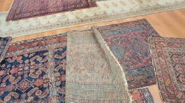 RUG APPRASAL